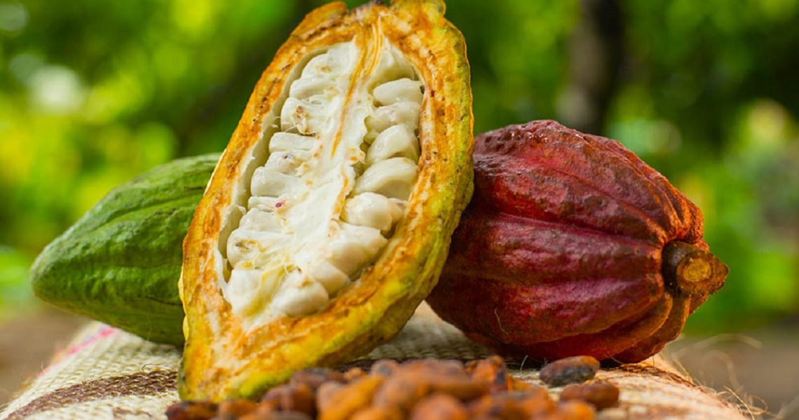Cocoa is Ghana's most exported commodity
