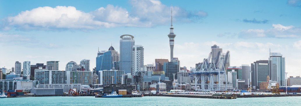 New Zealand Skyline