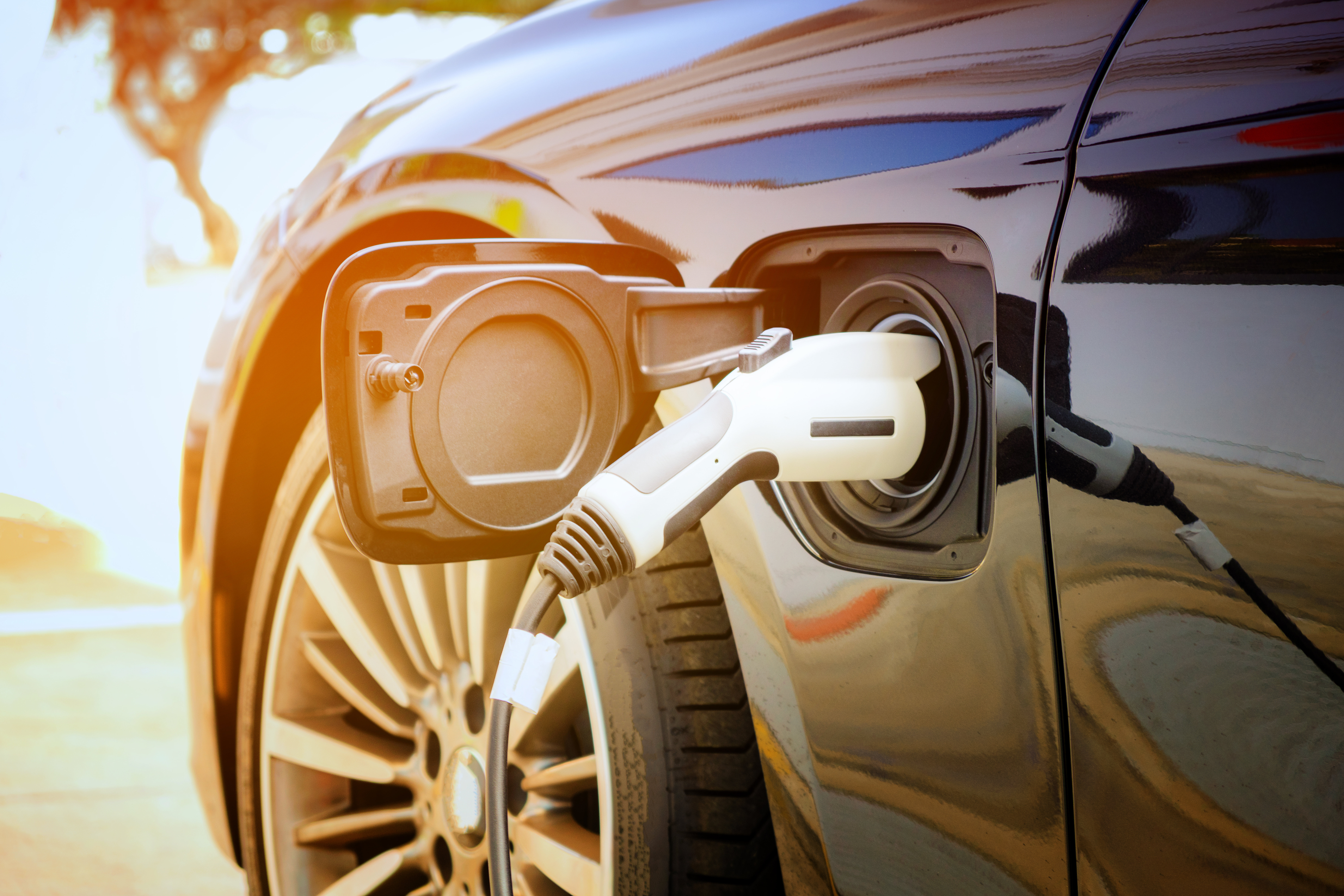 auto elettriche