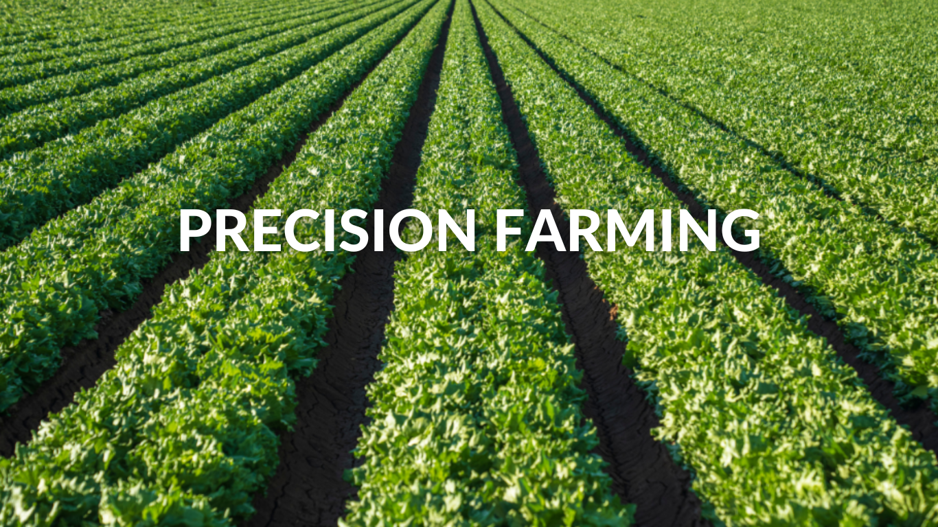 precision farming