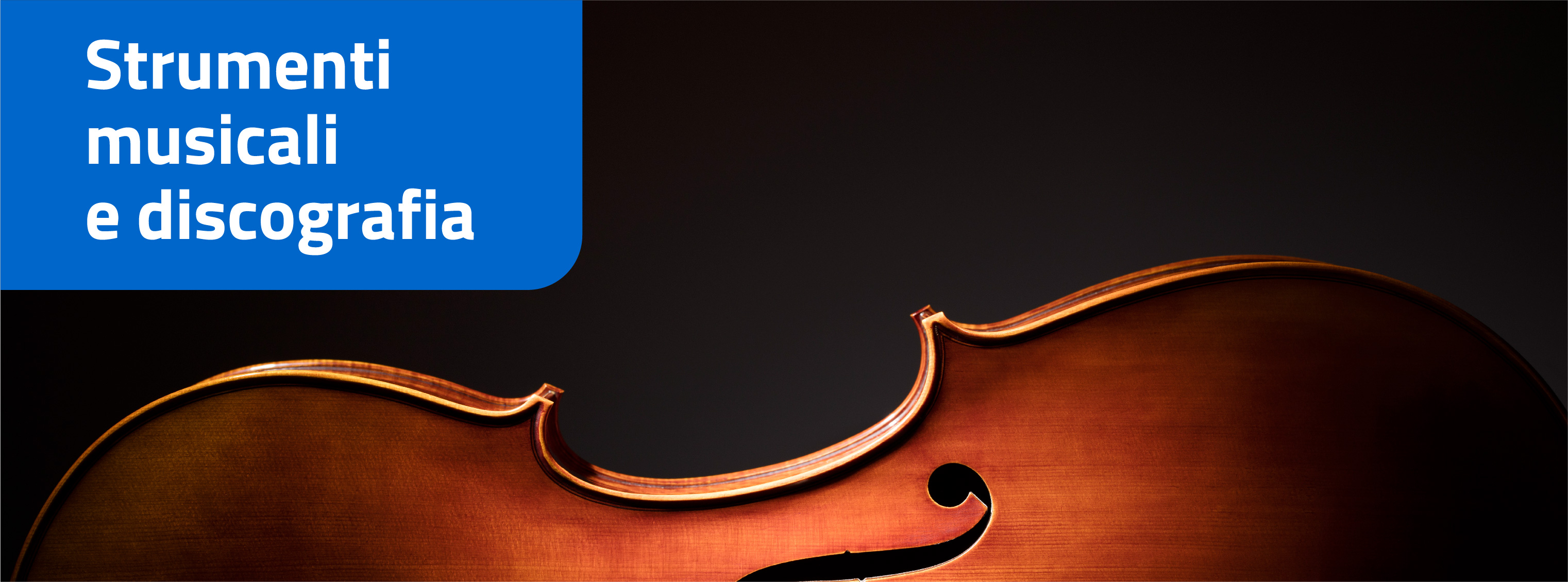 Settore: STRUMENTI MUSICALI E DISCOGRAFIA