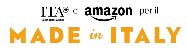 PROGETTO ICE AGENZIA / AMAZON