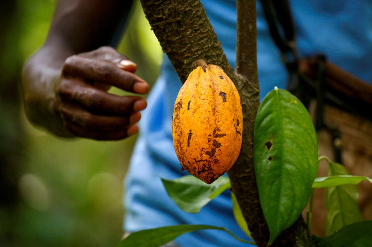 Ivory Coast