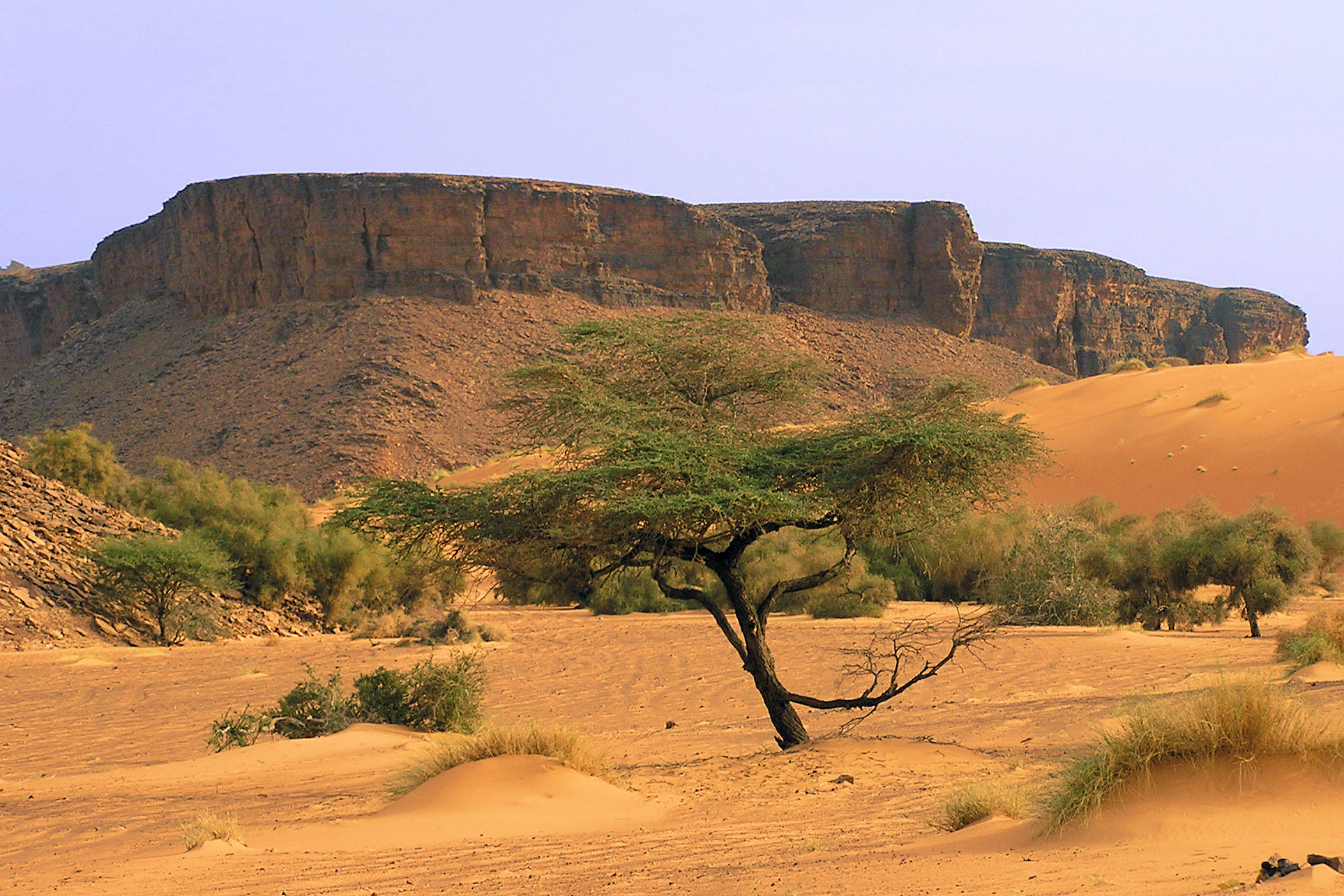 Mauritania Mauritania