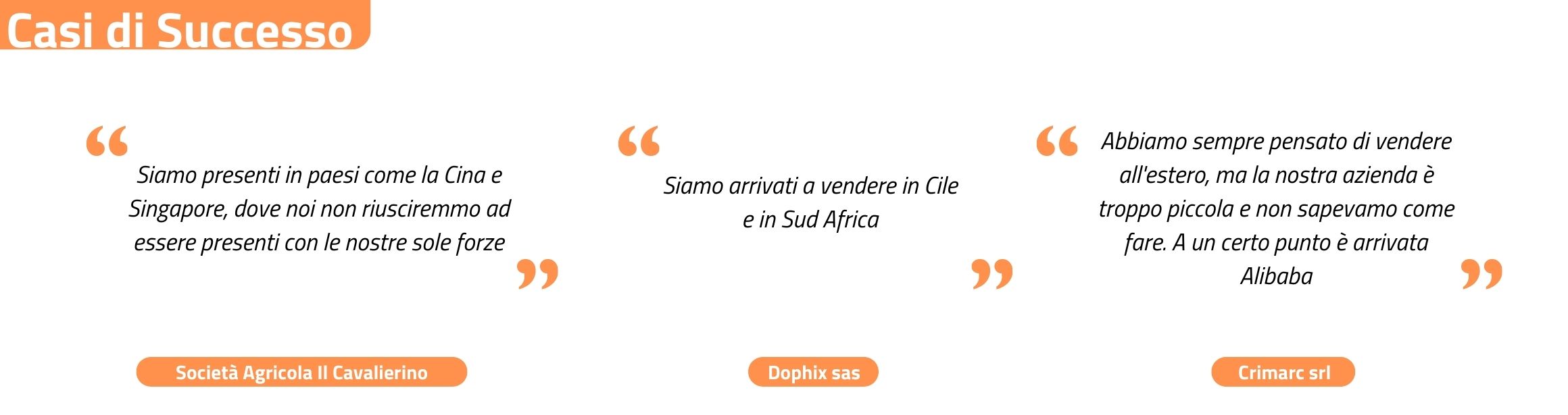 casi di successo ice alibaba success case